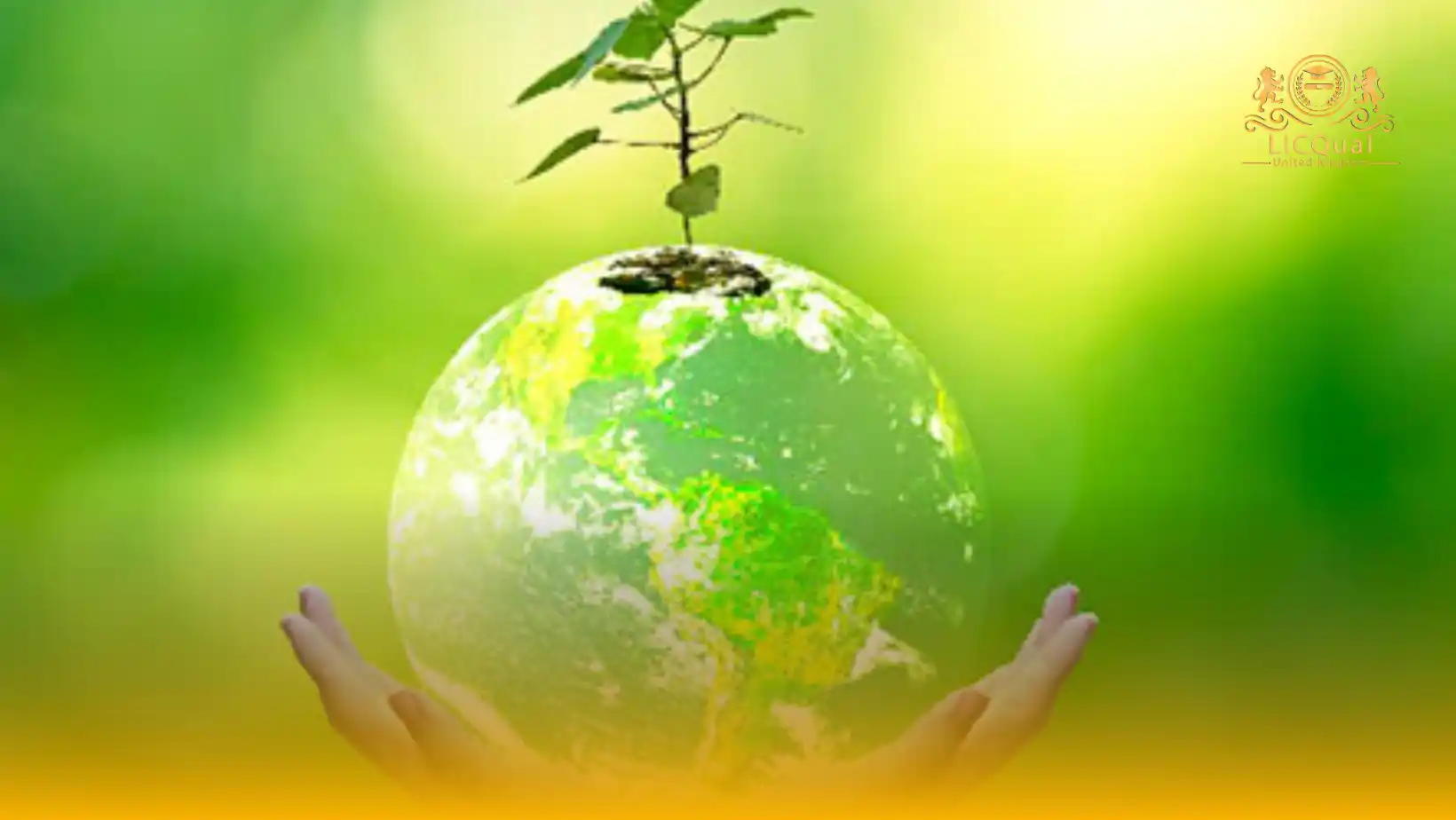 LICQual Level 3 Diploma in Environmental Management