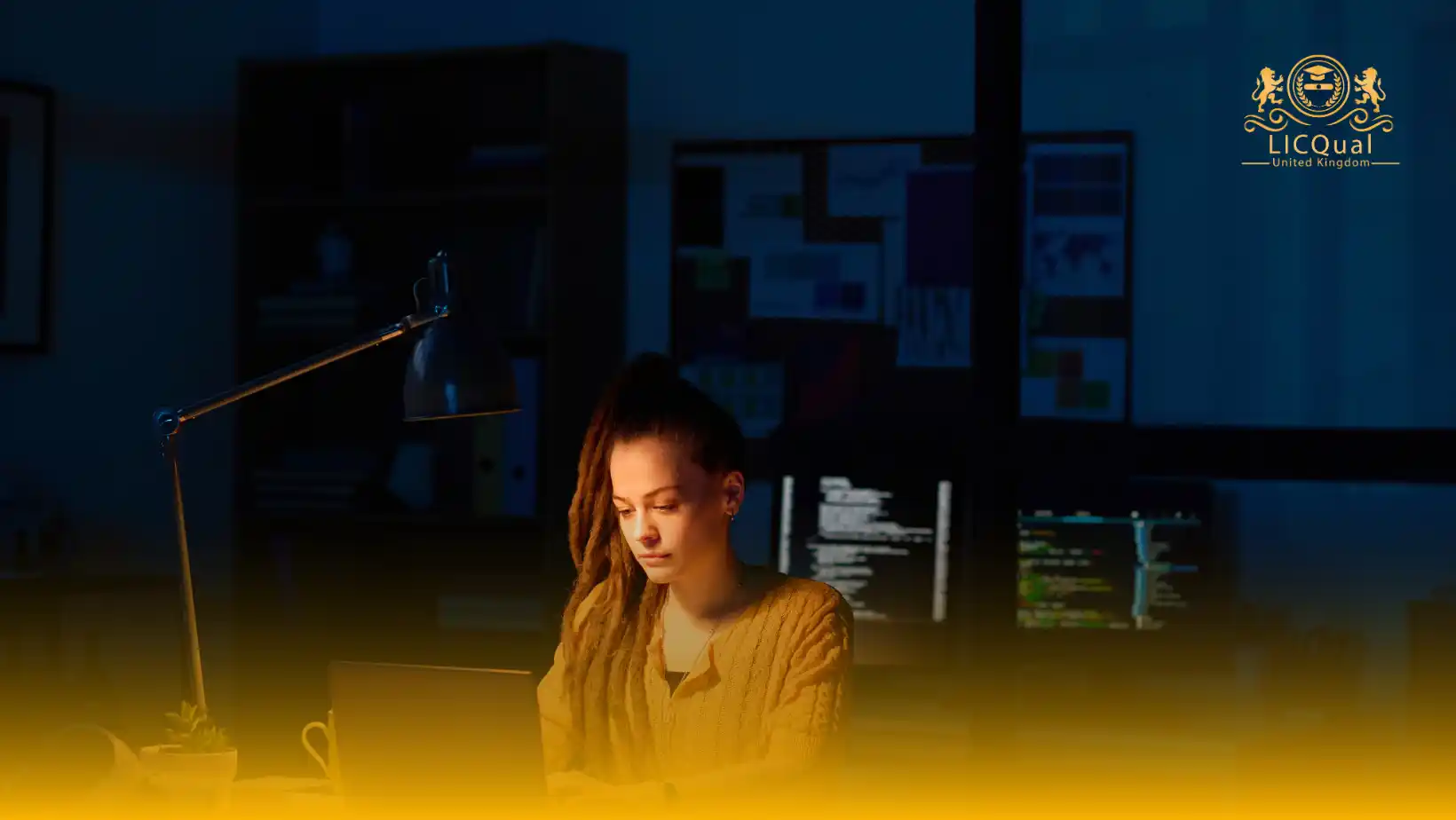 LICQual Level 2 Certificate in Information Systems Development and Society