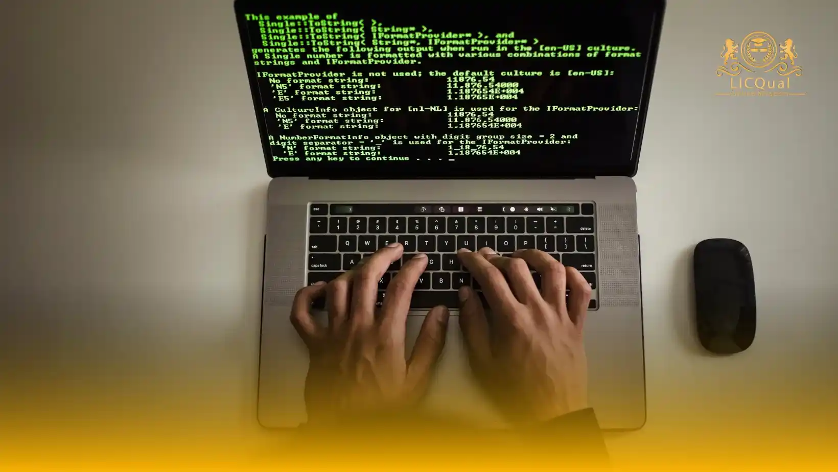 LICQual Level 3 Certificate in Information Systems Development and Society