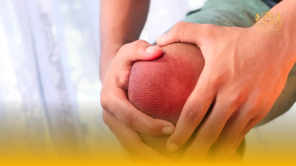 LICQual Level 3 Certificate in Temporomandibular Joint (TMJ) Disorders 19 LICQual Level 3 Certificate in Temporomandibular Joint (TMJ) Disorders