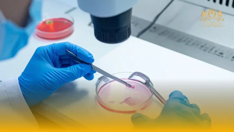 LICQual Level 3 Diploma in Reproductive Endocrinology and Infertility (Dip REI)