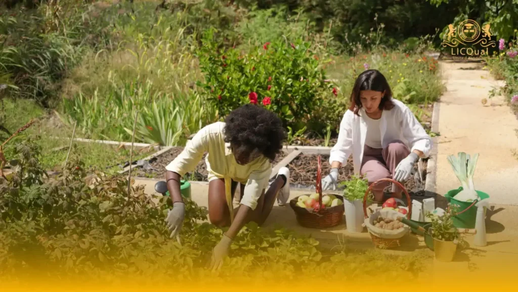 LICQual Level 3 Certificate in Community Nutrition (Cert Community Nutrition)