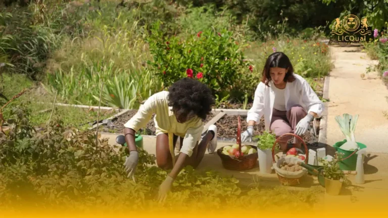 LICQual Level 3 Certificate in Community Nutrition (Cert Community Nutrition)