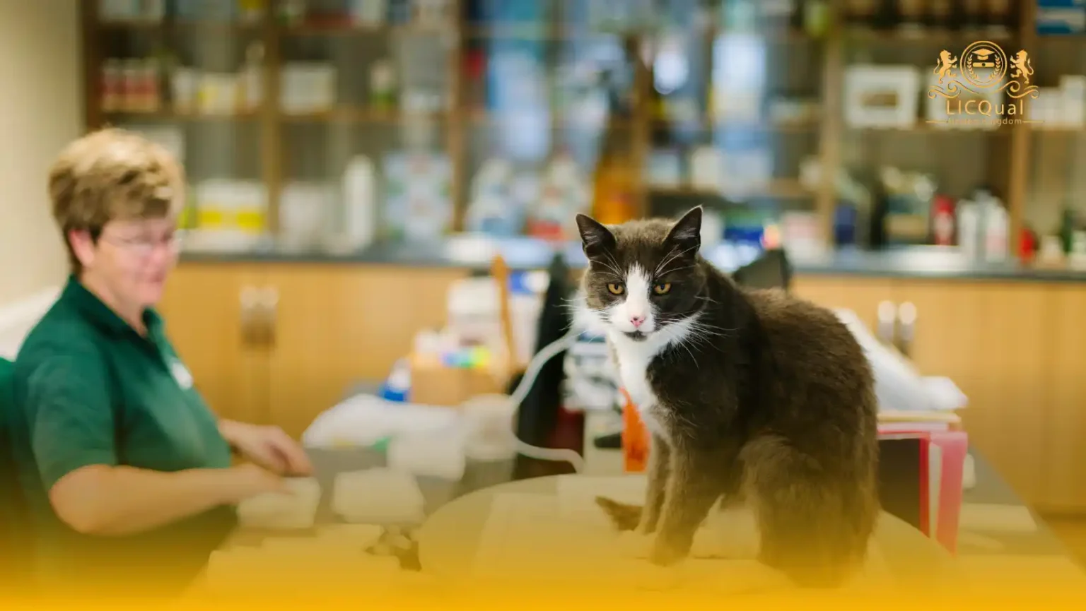 LICQual Level 3 Certificate in Veterinary Pharmacy (Cert Veterinary Pharmacy) 