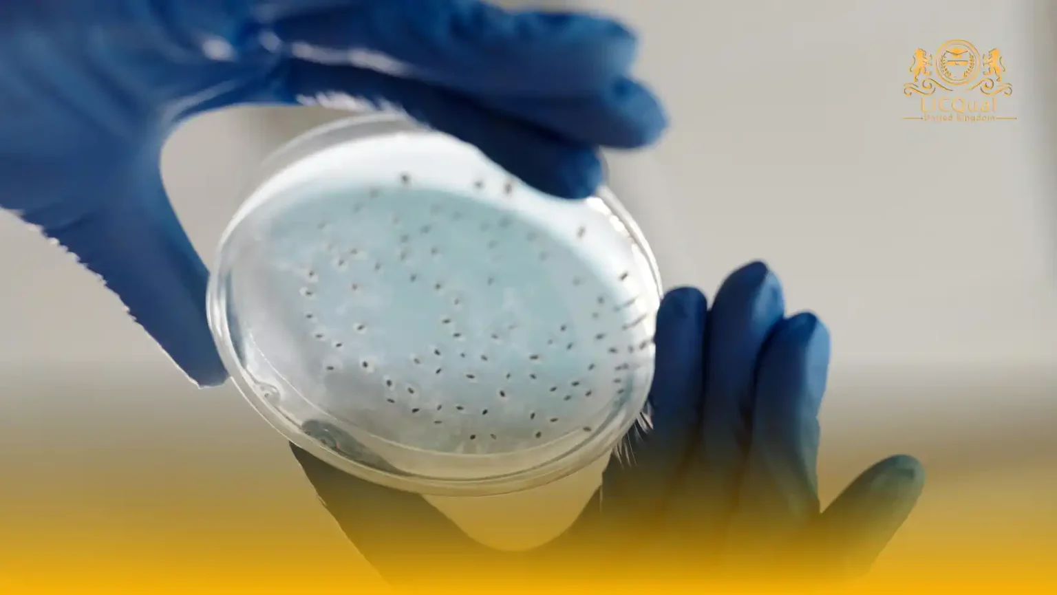 LICQual Level 3 Diploma in Nutritional Epidemiology (Dip Nutritional Epidemiology)