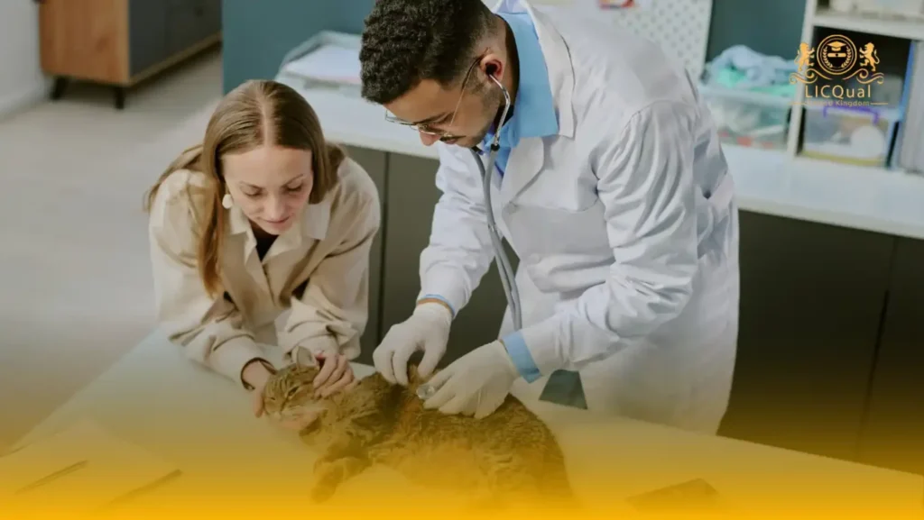 LICQual Level 3 Diploma in Veterinary Pharmacy (Dip Veterinary Pharmacy)