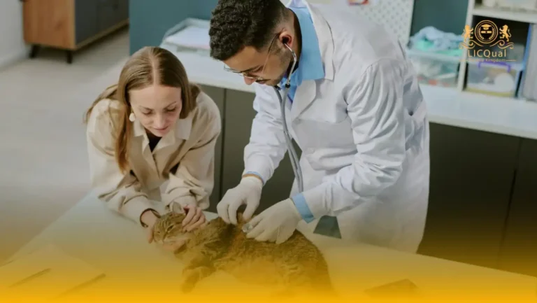 LICQual Level 3 Diploma in Veterinary Pharmacy (Dip Veterinary Pharmacy)