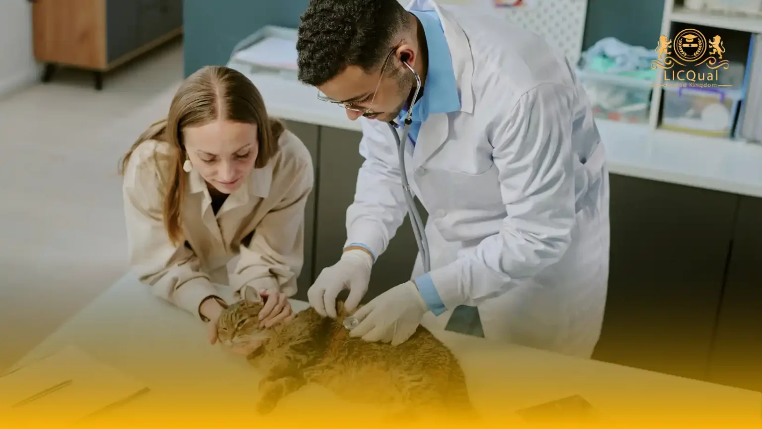 LICQual Level 3 Diploma in Veterinary Pharmacy (Dip Veterinary Pharmacy)