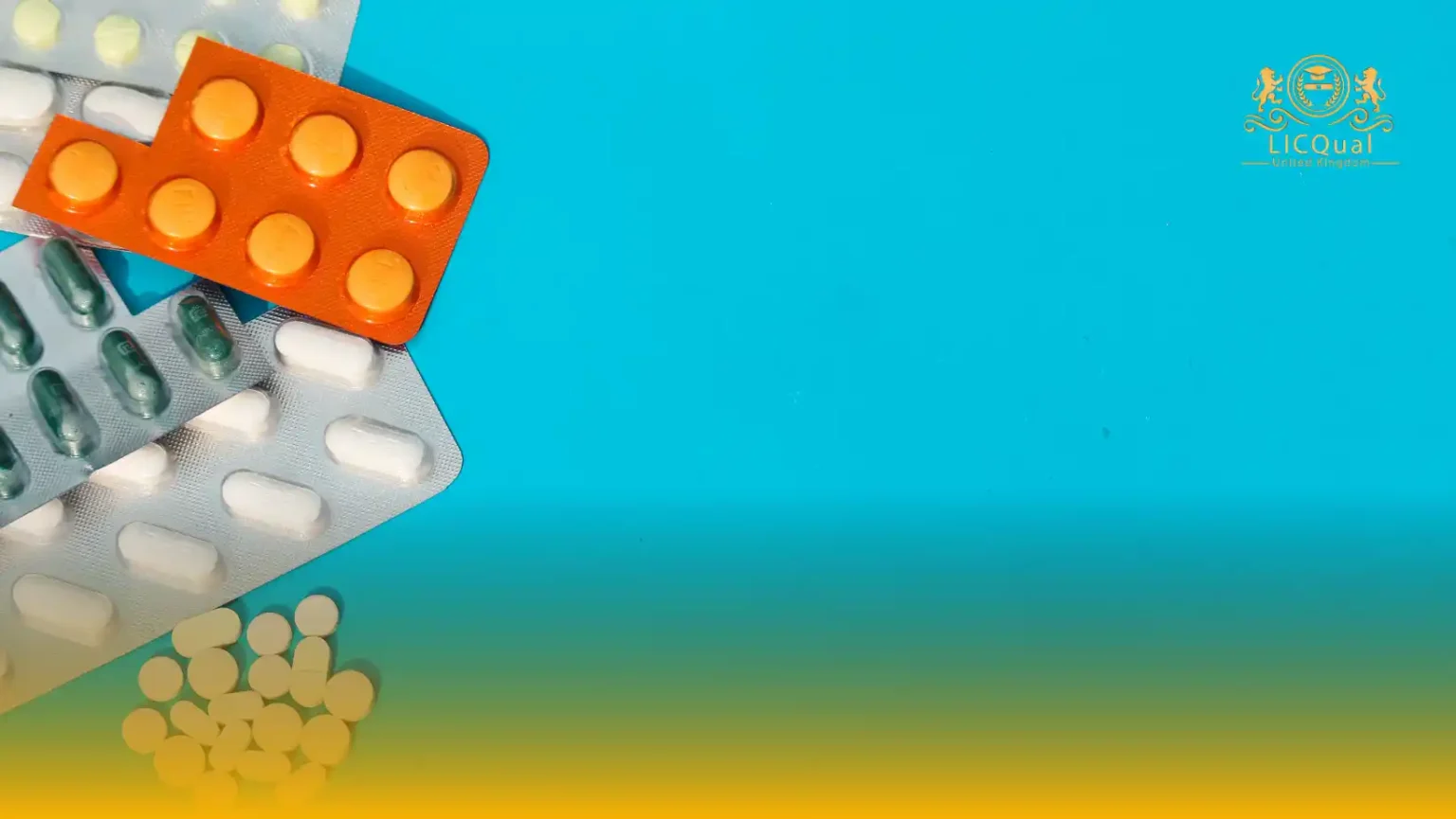 LICQual Level 6 Diploma in Infectious Diseases and Tropical Medicine (Dip IDTM) 