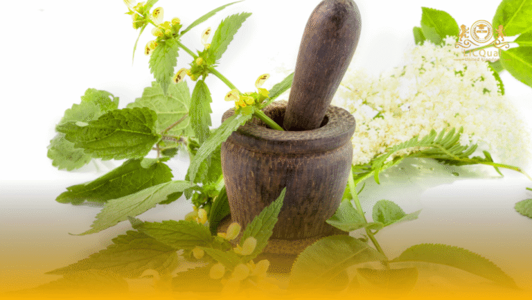 LICQual Level 6 Diploma in Natural Products and Herbal Medicine (D Natural Products and Herbal Medicine)