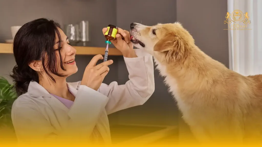 LICQual Level 6 Diploma in Veterinary Pharmacy (D Veterinary Pharmacy) 92 LICQual Level 6 Diploma in Veterinary Pharmacy (D Veterinary Pharmacy)