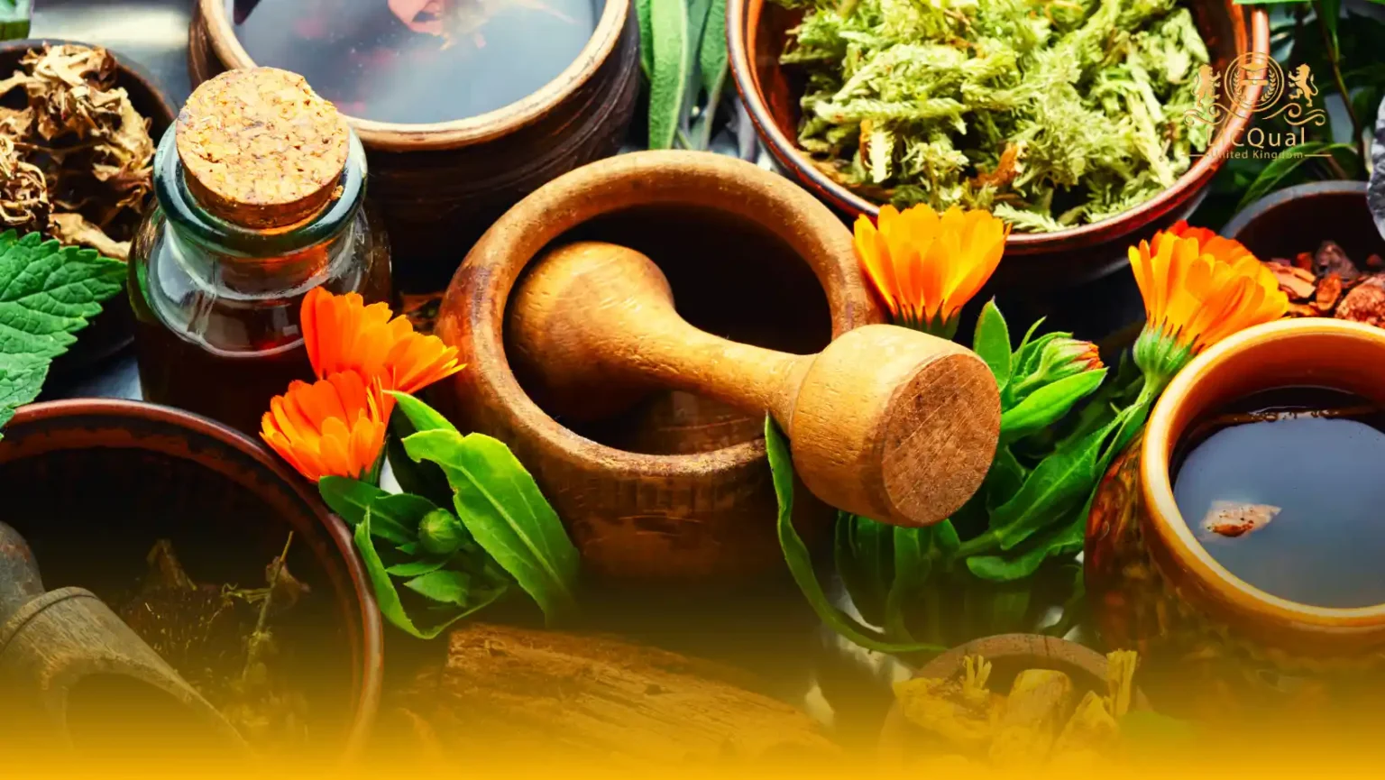 LICQual Level 7 Postgraduate Diploma in Natural Products and Herbal Medicine (PgD Natural Products and Herbal Medicine)