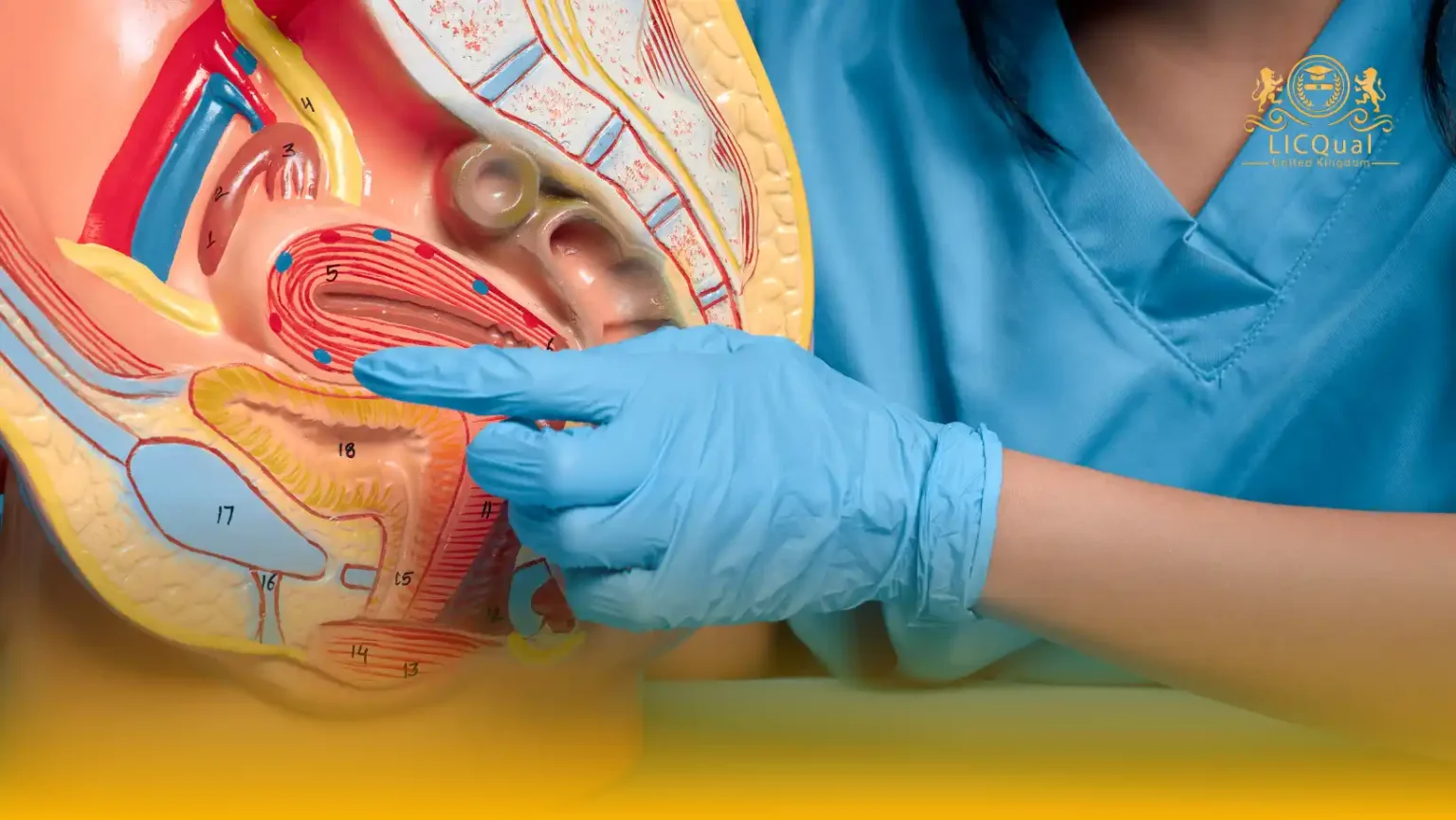 LICQual Level 7 Postgraduate Diploma in Reproductive Medicine (PgDRM)  