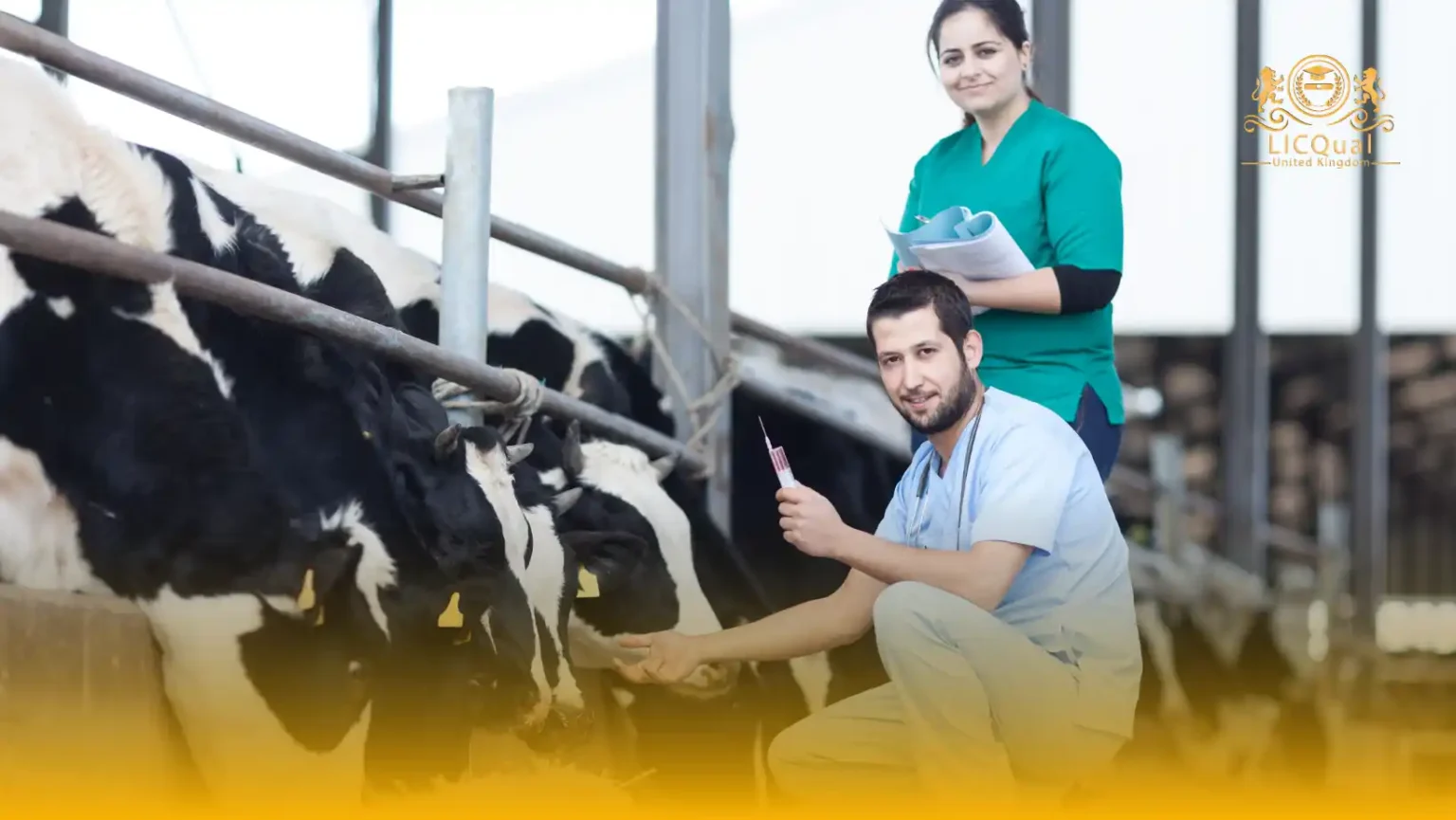 LICQual Level 7 Postgraduate Diploma in Veterinary Pharmacy (PgD Veterinary Pharmacy) 
