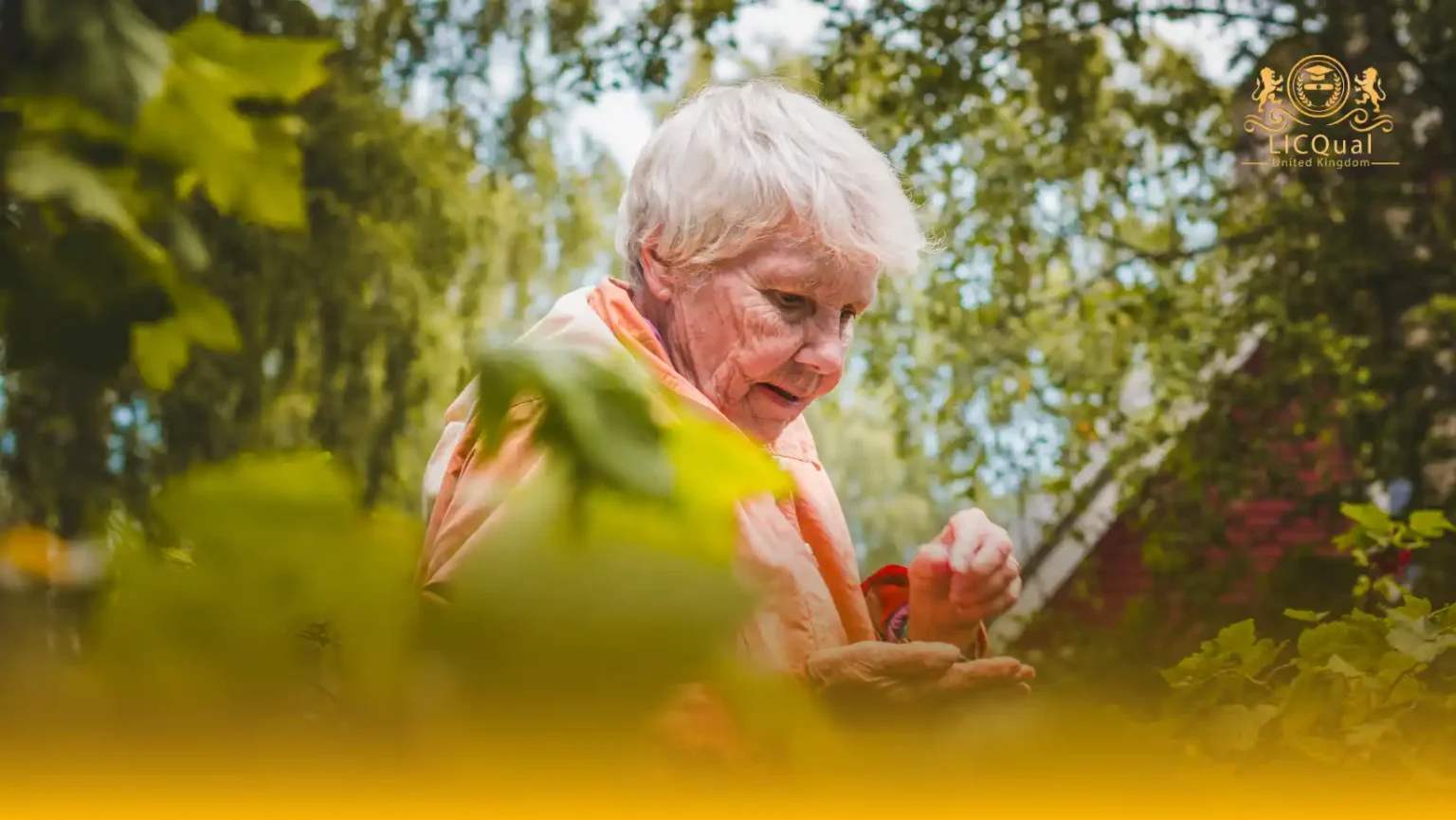 LICQual Level 7 Postgraduate Diploma in Gerontological Nutrition (PgD Gerontological Nutrition) 