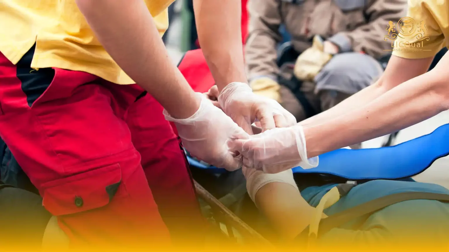 LICQual Level 3 Award in Combined Emergency Paediatric First Aid (EPFA) & Emergency First Aid at Work (EFAW)