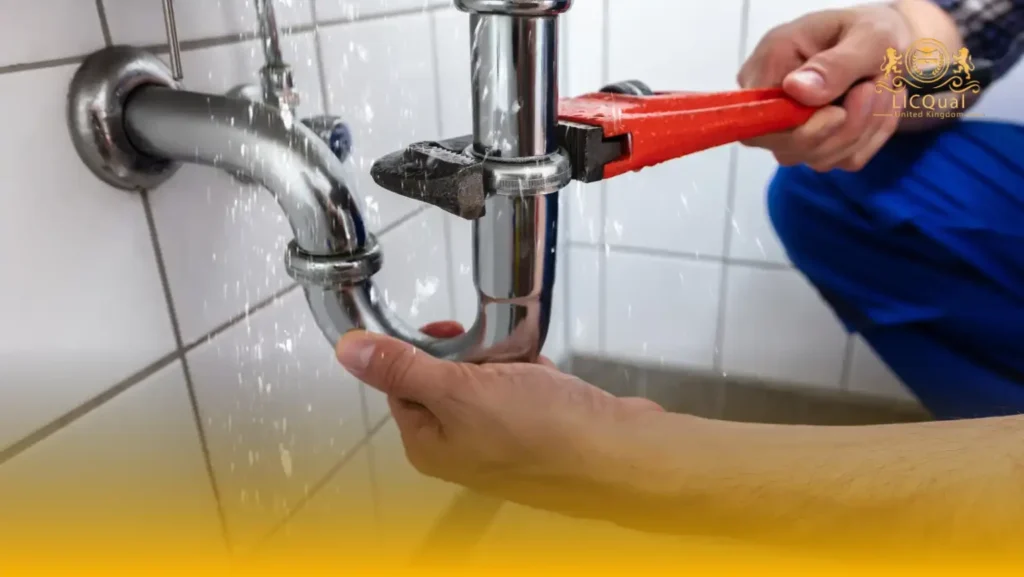 LICQual Level 3 Certificate in QC Piping Inspector 2 LICQual Level 3 Certificate in QC Piping Inspector